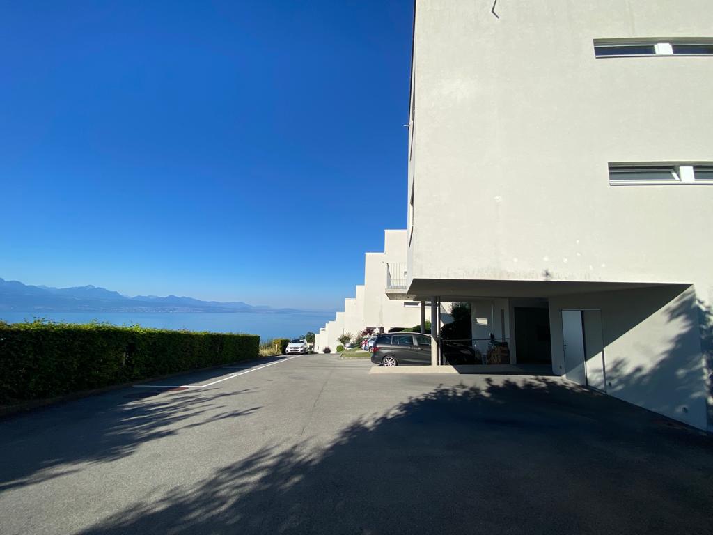 WhatsApp Image 2022-06-13 at 17.31.30